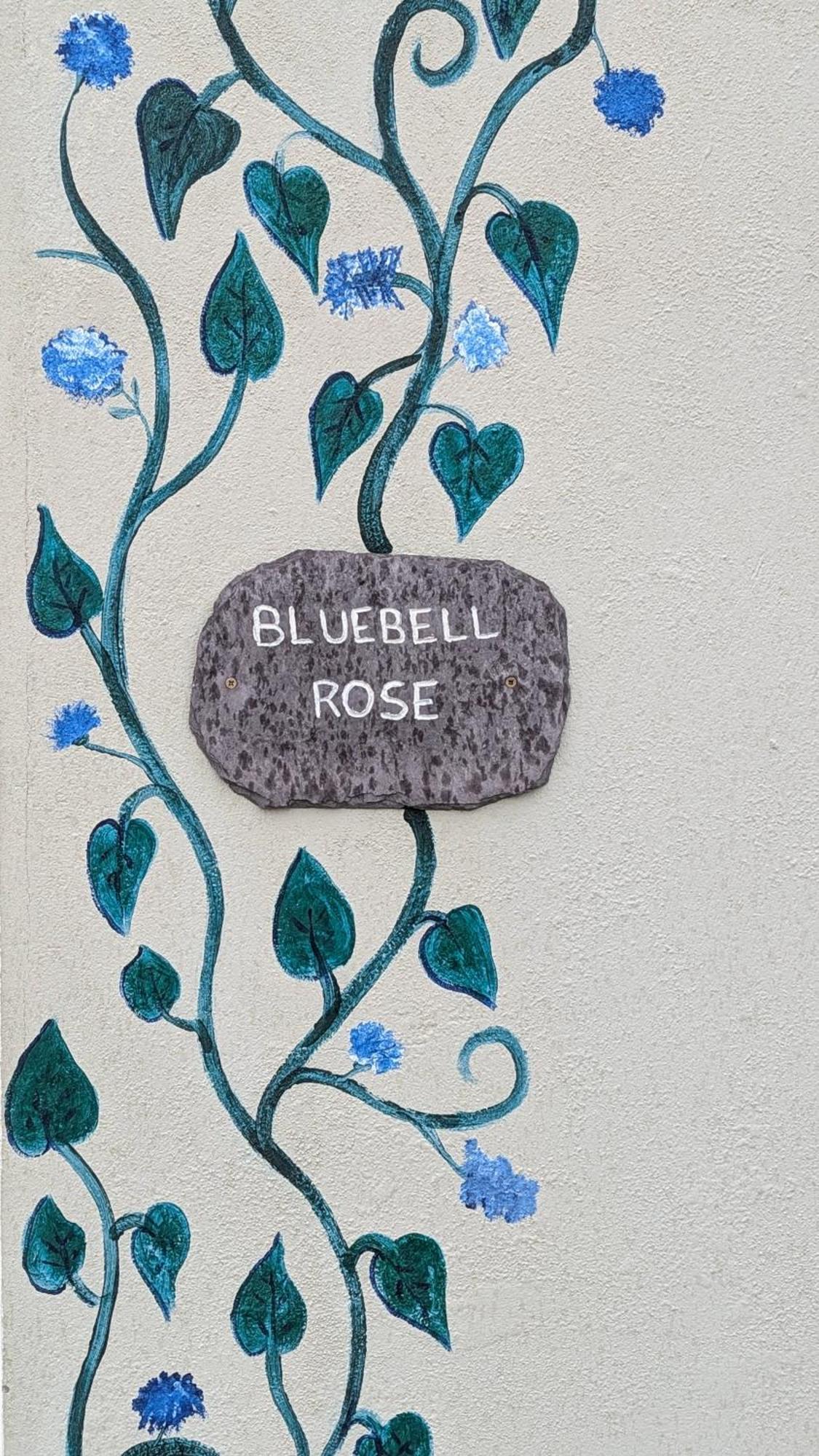 Skellig View Bluebell Rose & The Kerry Cliffs Apartment Portmagee Exterior foto